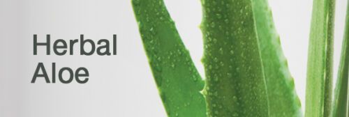 fakta om vand Herbal-Aloe-Drik Herbalife
